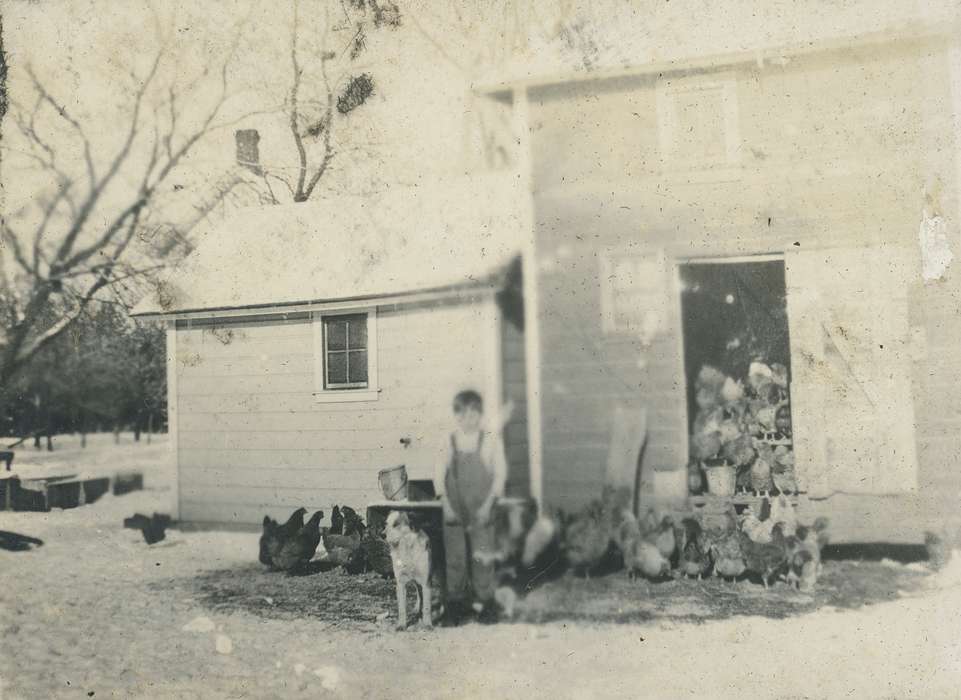 Outdoor Recreation, boy, IA, Iowa, chicken coop, Animals, dog, Children, Barns, Homes, Portraits - Individual, winter, history of Iowa, Farms, Neessen, Ben, chicken, snow, Iowa History