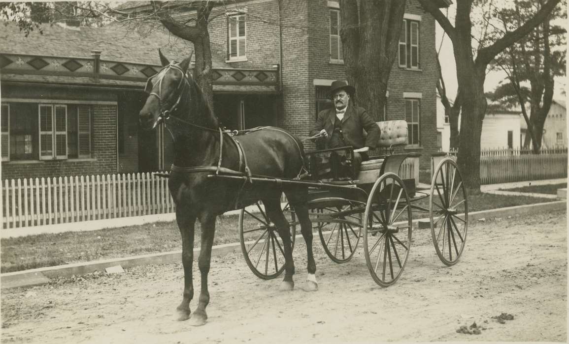 Iowa, Animals, horse and buggy, Portraits - Individual, road, Cities and Towns, Meyers, Paulette, history of Iowa, Waverly, IA, Iowa History