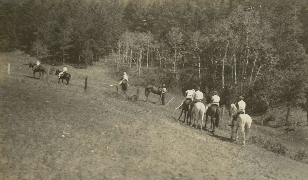 Animals, SD, Iowa History, Iowa, horse, McMurray, Doug, Travel, history of Iowa