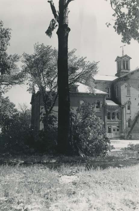 history of Iowa, Iowa History, high school, Iowa, Cities and Towns, Schools and Education, correct date needed, tree, Waverly Public Library