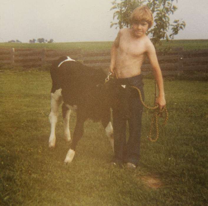 Feddersen, Margaret, Ryan, IA, history of Iowa, cow, calf, Iowa History, Animals, 4-h, farm, Fairs and Festivals, Iowa, boy, Children, Portraits - Individual