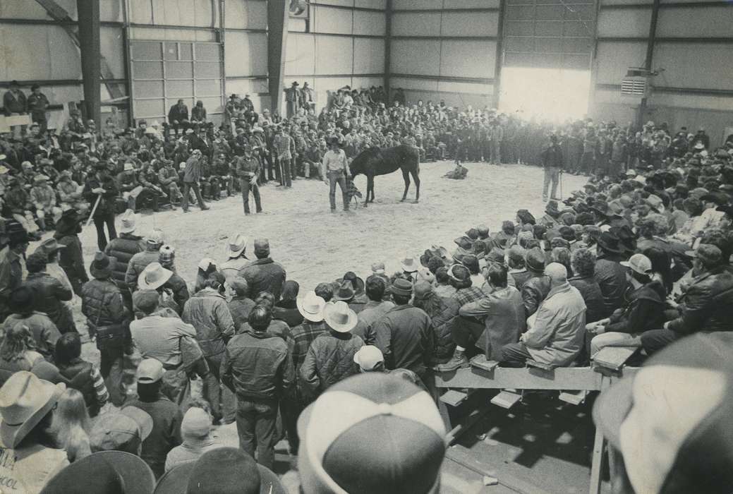 history of Iowa, Waverly Public Library, Waverly, IA, Iowa, horse show, Barns, horse sale, Iowa History, Animals