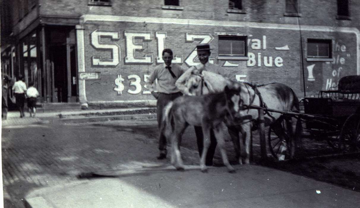 Main Streets & Town Squares, history of Iowa, advertisement, foal, Iowa History, Animals, Anamosa Library & Learning Center, Iowa, Anamosa, IA, horse