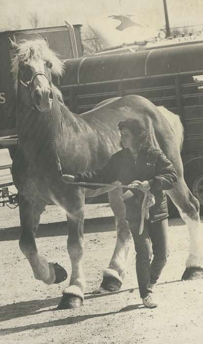 history of Iowa, Iowa History, Animals, Waverly, IA, Iowa, horse, horse sale, Waverly Public Library, Labor and Occupations