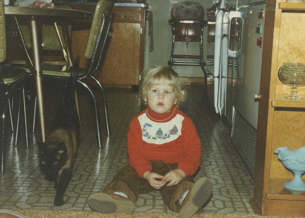 cat, table, history of Iowa, kitchen, Iowa History, Animals, Reinbeck, IA, mid-century modern, East, Lindsey, Iowa, Homes, Children, high chair, Portraits - Individual