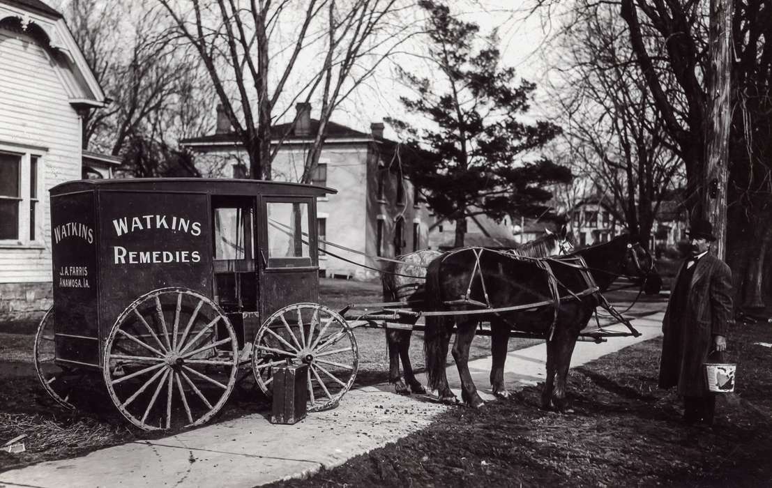 history of Iowa, Iowa History, Businesses and Factories, Animals, patent medicine, Anamosa Library & Learning Center, Iowa, Anamosa, IA, horse, salesman, Labor and Occupations