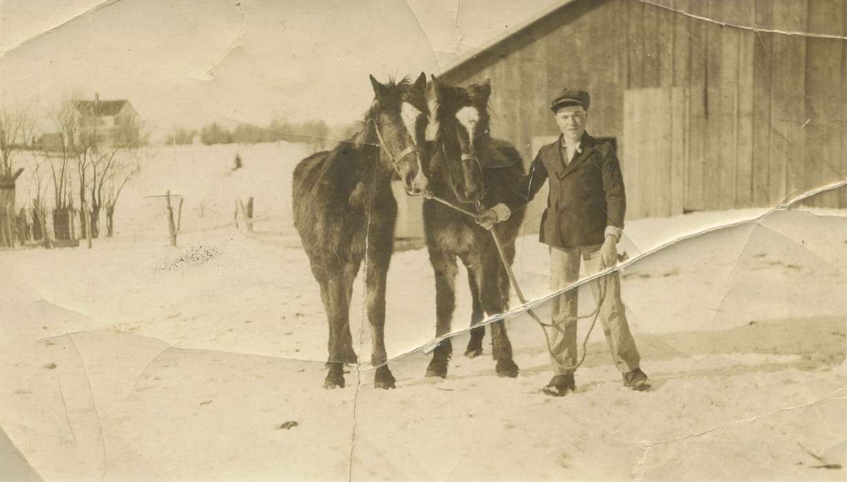 history of Iowa, Portraits - Individual, Iowa History, Hawleyville, IA, Animals, Iowa, Salway, Evelyn, snow, horse, horses