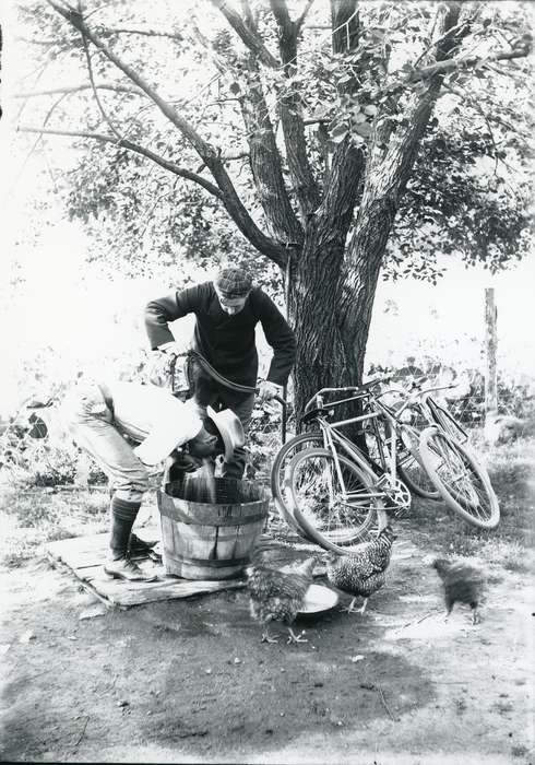 Outdoor Recreation, Iowa, Waverly Public Library, Animals, bike, bucket, history of Iowa, bicycle, chicken, Waverly, IA, Iowa History