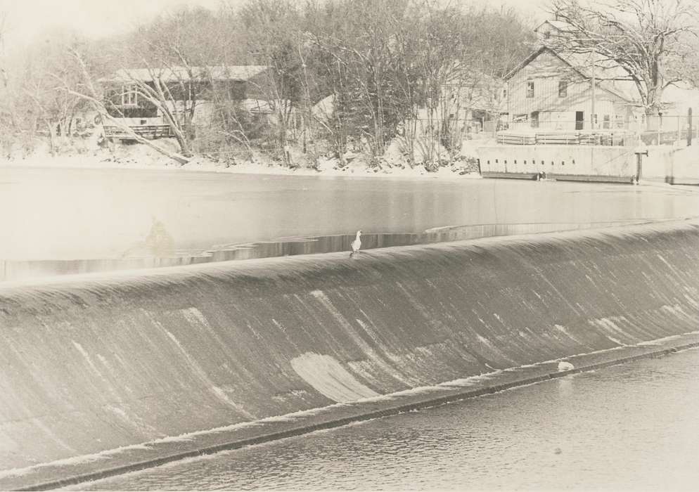 history of Iowa, Iowa History, duck, Lakes, Rivers, and Streams, Waverly, IA, Iowa, Waverly Public Library, dam