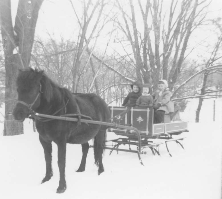 Outdoor Recreation, Horgen, Susan, sleigh, Iowa, Animals, horse, Mona, IA, Winter, history of Iowa, snow, Iowa History, sled