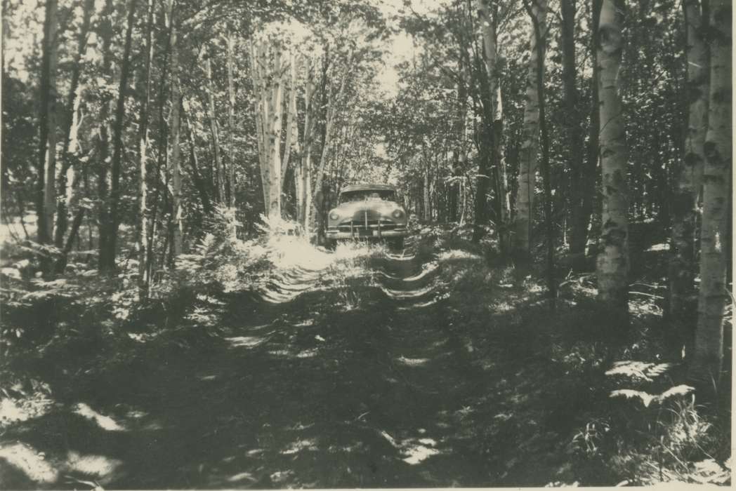 Travel, history of Iowa, Iowa History, Motorized Vehicles, trees, car, McCllough, Connie, Eagle Grove, IA, Iowa, woods