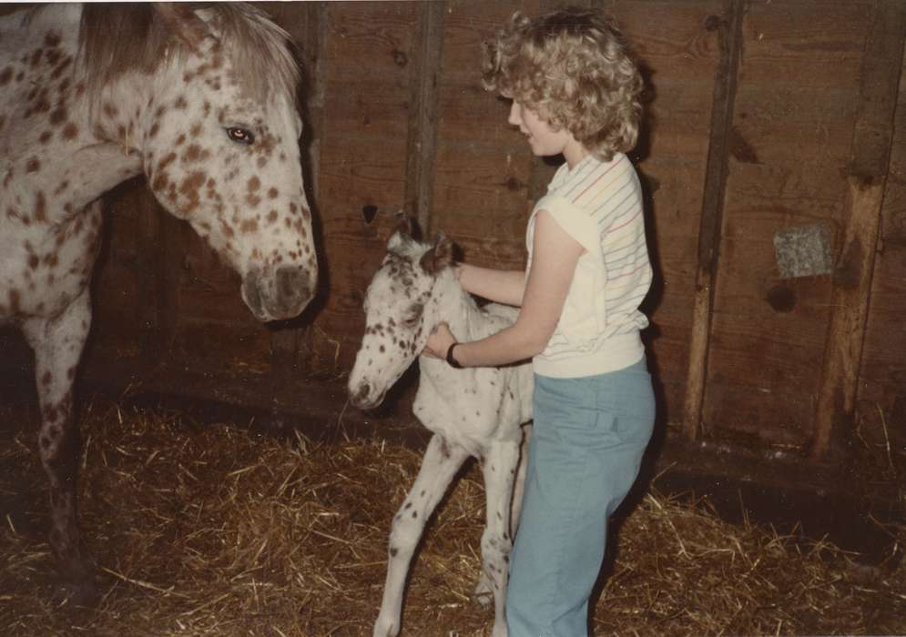 history of Iowa, foal, Iowa History, Schmillen, Gloria, Marcus, IA, Barns, Animals, Iowa, Farms, horse, Children