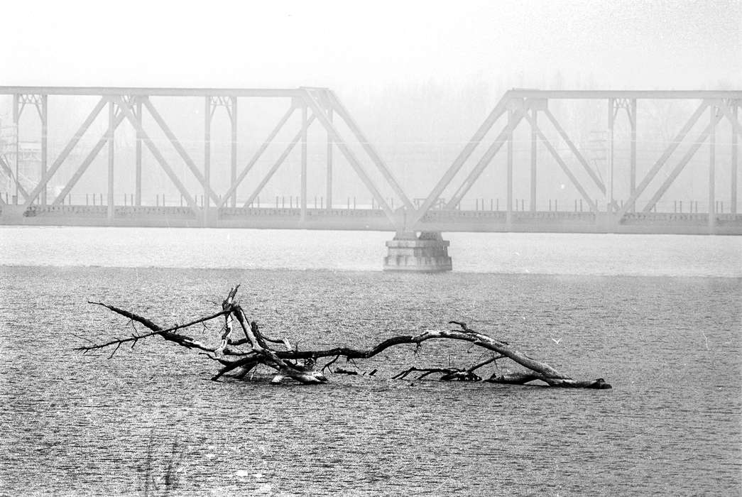 des moines river, bridge, driftwood, Iowa History, Lakes, Rivers, and Streams, Iowa, Lemberger, LeAnn, Ottumwa, IA, railroad, history of Iowa, river, Landscapes