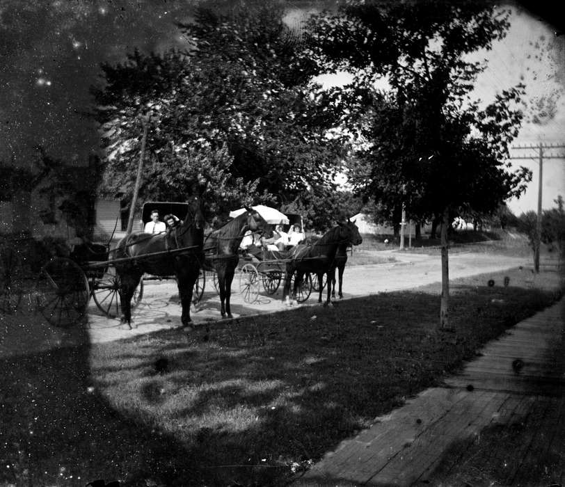 Iowa, Animals, horse, horse and buggy, Lemberger, LeAnn, Ottumwa, IA, history of Iowa, wood sidewalk, Iowa History