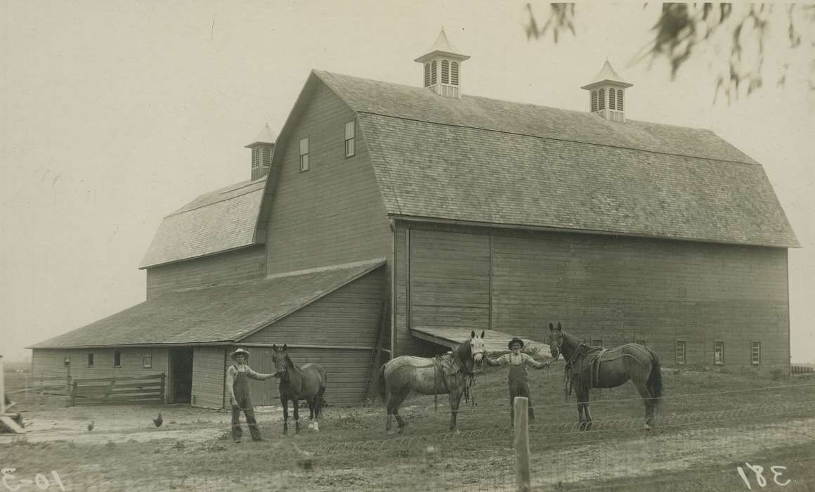 Portraits - Group, correct date needed, Iowa, Animals, horse, barn, farmer, Barns, history of Iowa, West Liberty, IA, Farming Equipment, Farms, chicken, Meyers, Peggy, Iowa History