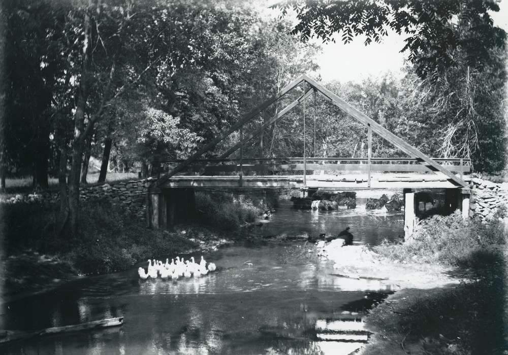 forest, bridge, Iowa History, history of Iowa, duck, Animals, Lakes, Rivers, and Streams, Waverly, IA, stream, Iowa, Landscapes, Waverly Public Library