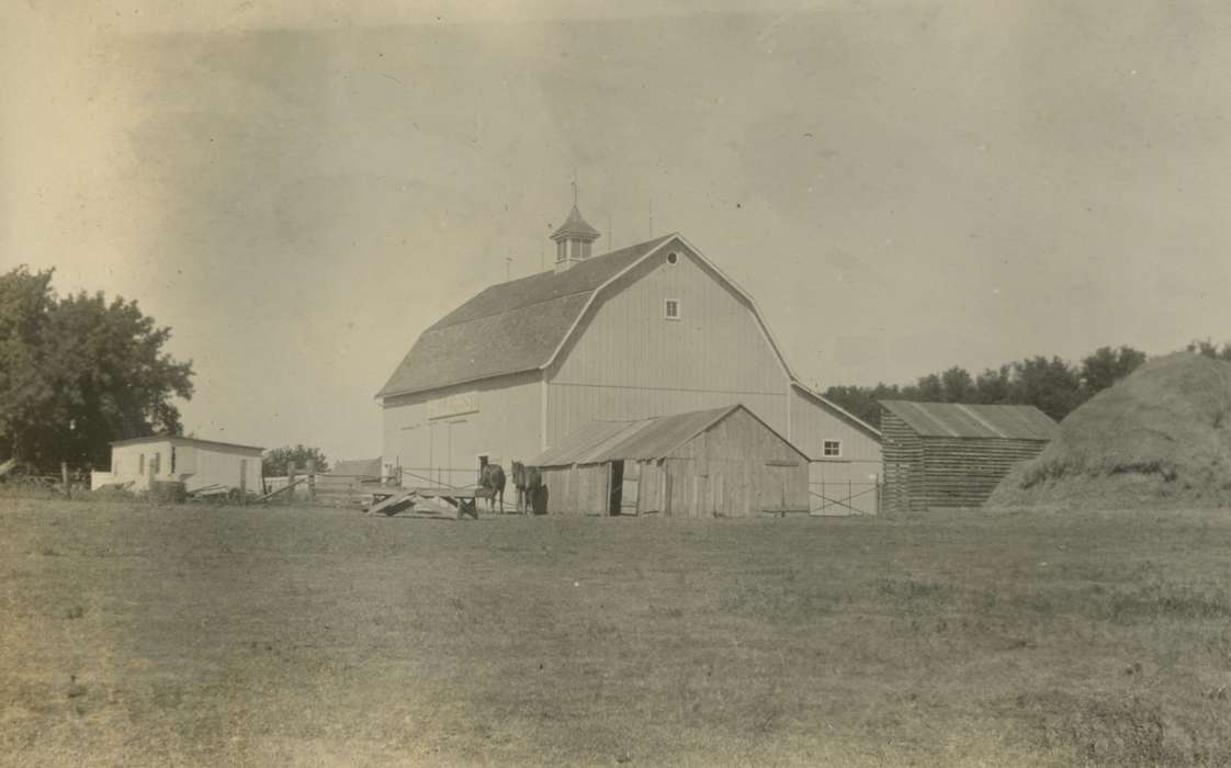 history of Iowa, Iowa History, Mortenson, Jill, Macey, IA, Barns, Animals, Iowa, Farms, horse