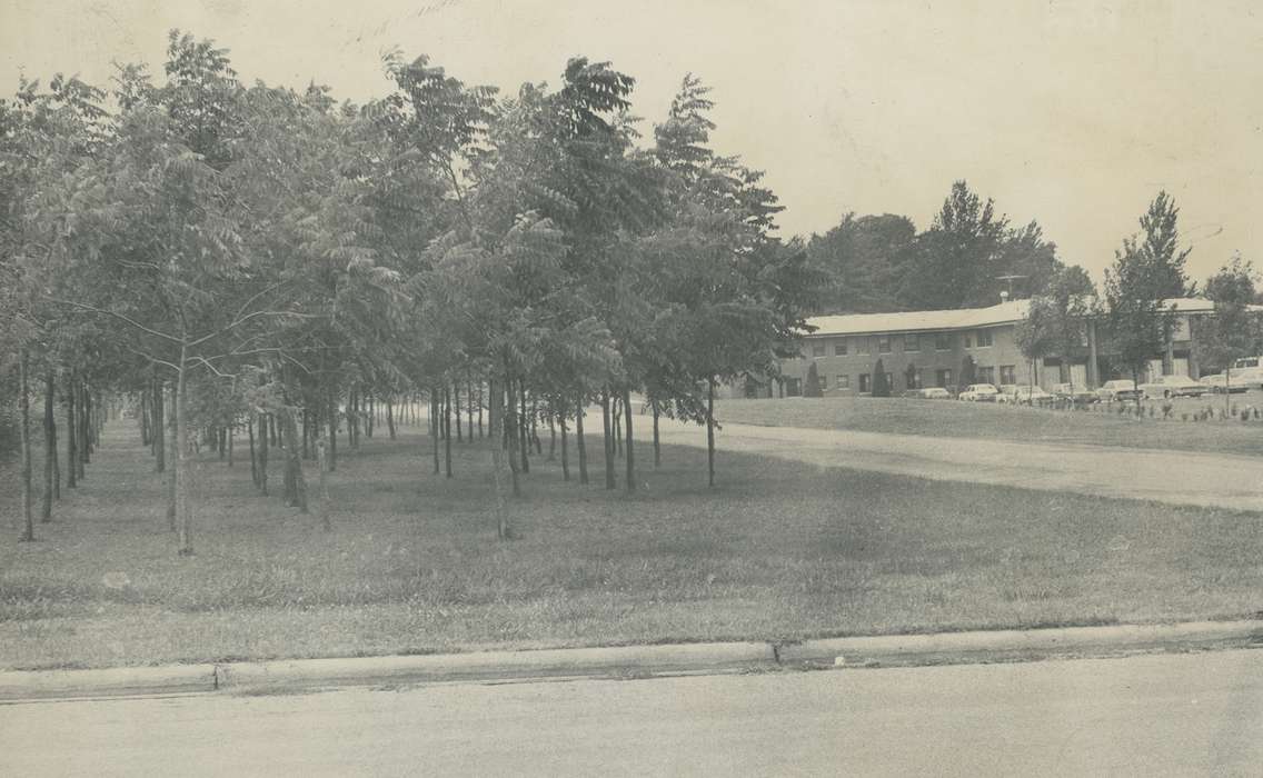 Iowa History, tree line, Iowa, Waverly Public Library, trees, Waverly, IA, history of Iowa, Landscapes