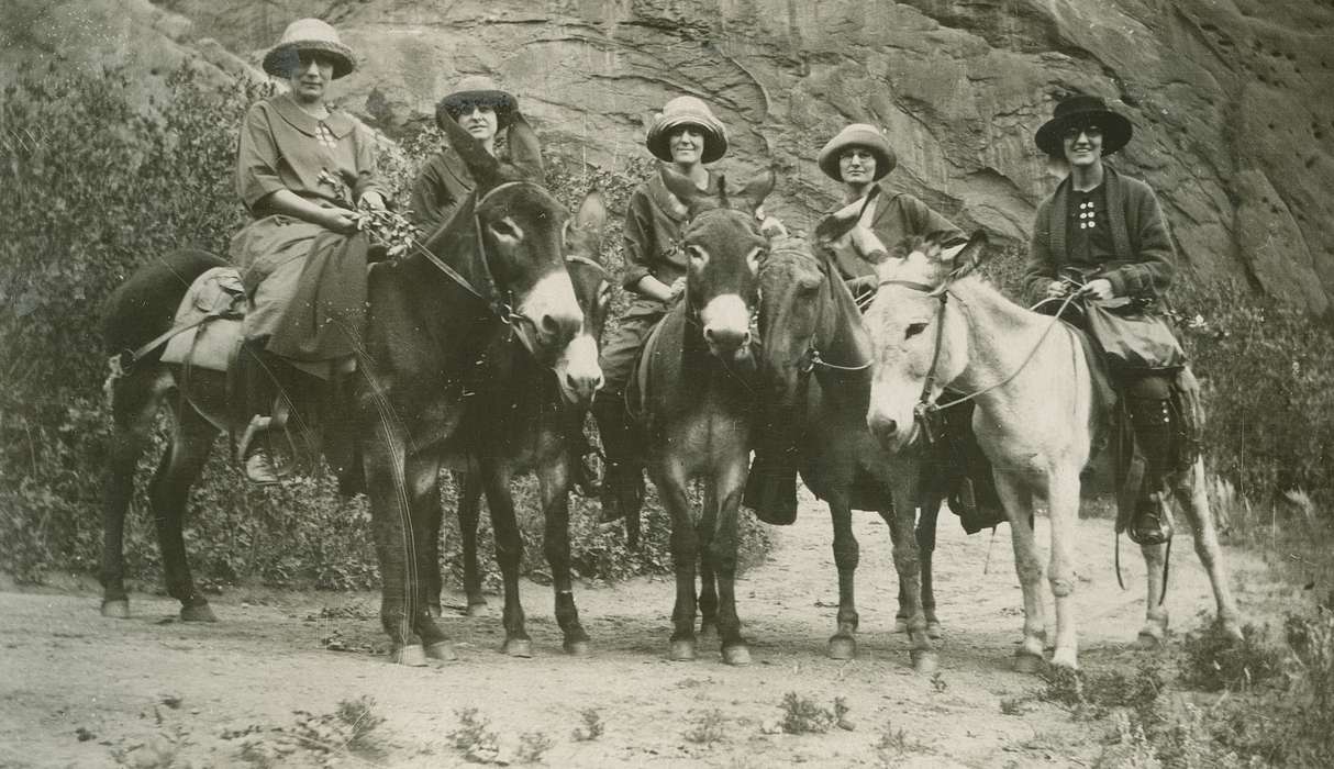 Portraits - Group, Travel, history of Iowa, Iowa History, IA, Animals, donkey, Iowa, LeQuatte, Sue, Leisure