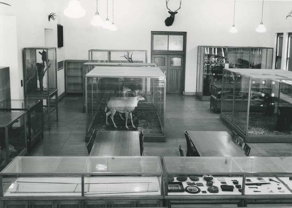 Cedar Falls, IA, history of Iowa, University of Northern Iowa Museum, Iowa History, uni, iowa state teachers college, museum, display case, Iowa, Schools and Education, university of northern iowa, seerley hall