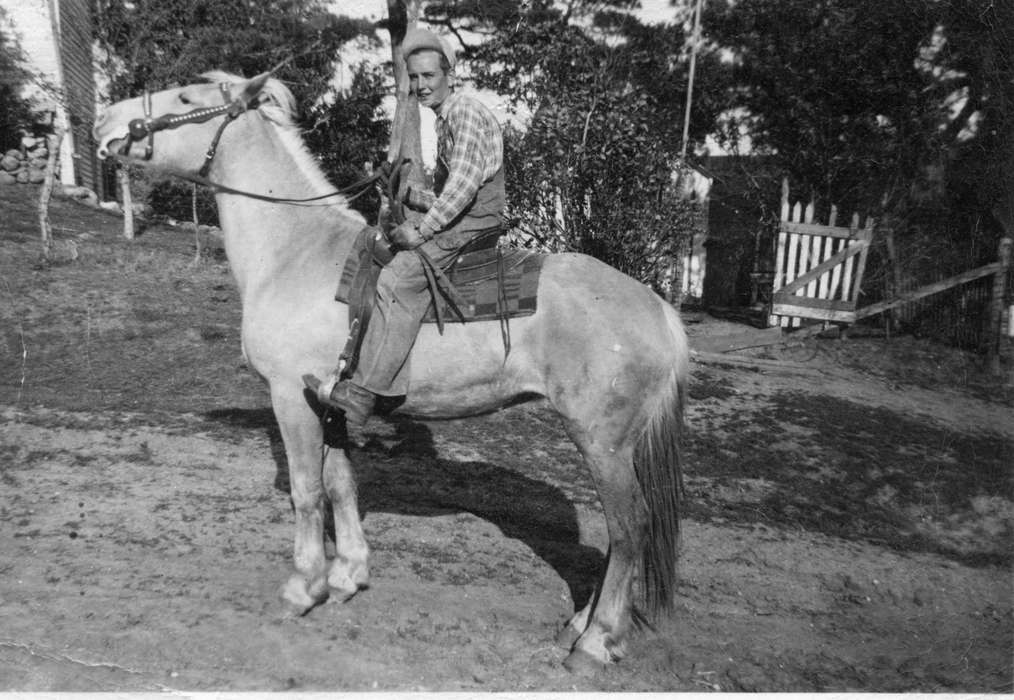 history of Iowa, Iowa History, IA, Animals, Schrodt, Evelyn, Iowa, horse, Portraits - Individual