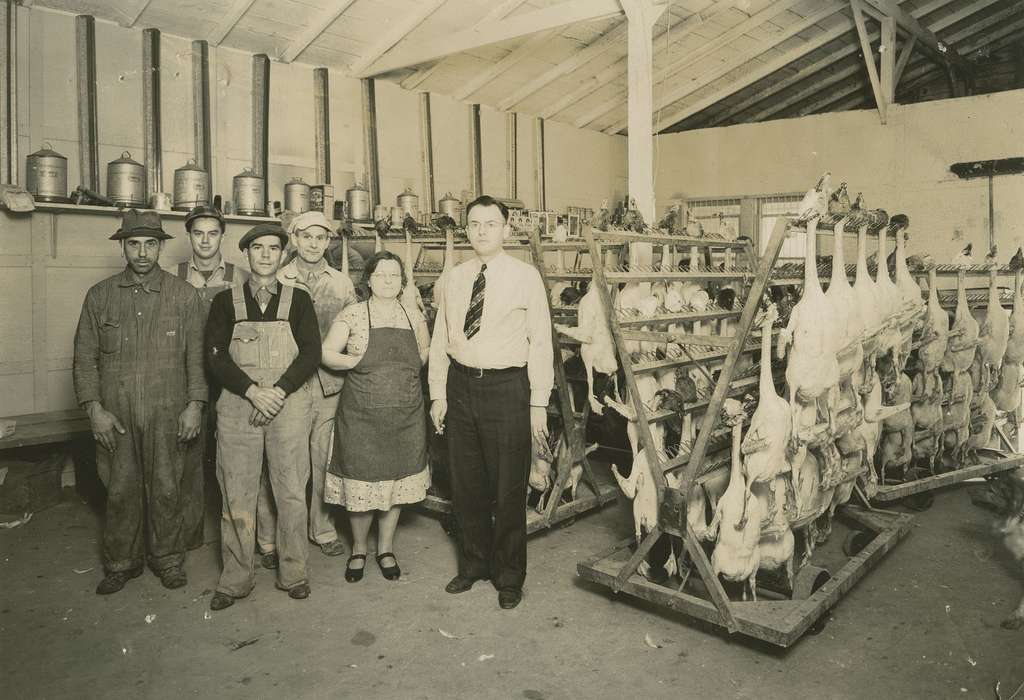 food, Iowa History, history of Iowa, Sell, Jeff, meat, Businesses and Factories, Animals, geese, poultry, Iowa, ducks, Tripoli, IA