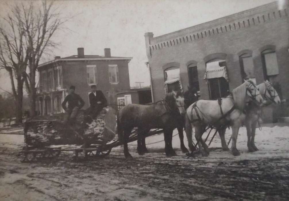 Portraits - Group, Main Streets & Town Squares, sled, history of Iowa, Iowa History, Lemberger, LeAnn, Eddyville, IA, Animals, Iowa, Cities and Towns, horse