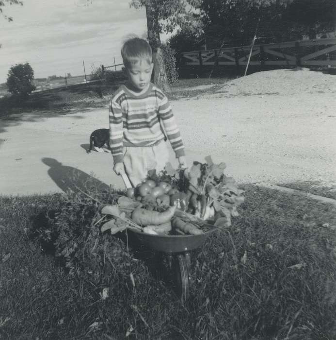 West Union, IA, cat, Iowa History, Iowa, wheel cart, Fink-Bowman, Janna, vegetable, correct date needed, Children, boy, history of Iowa