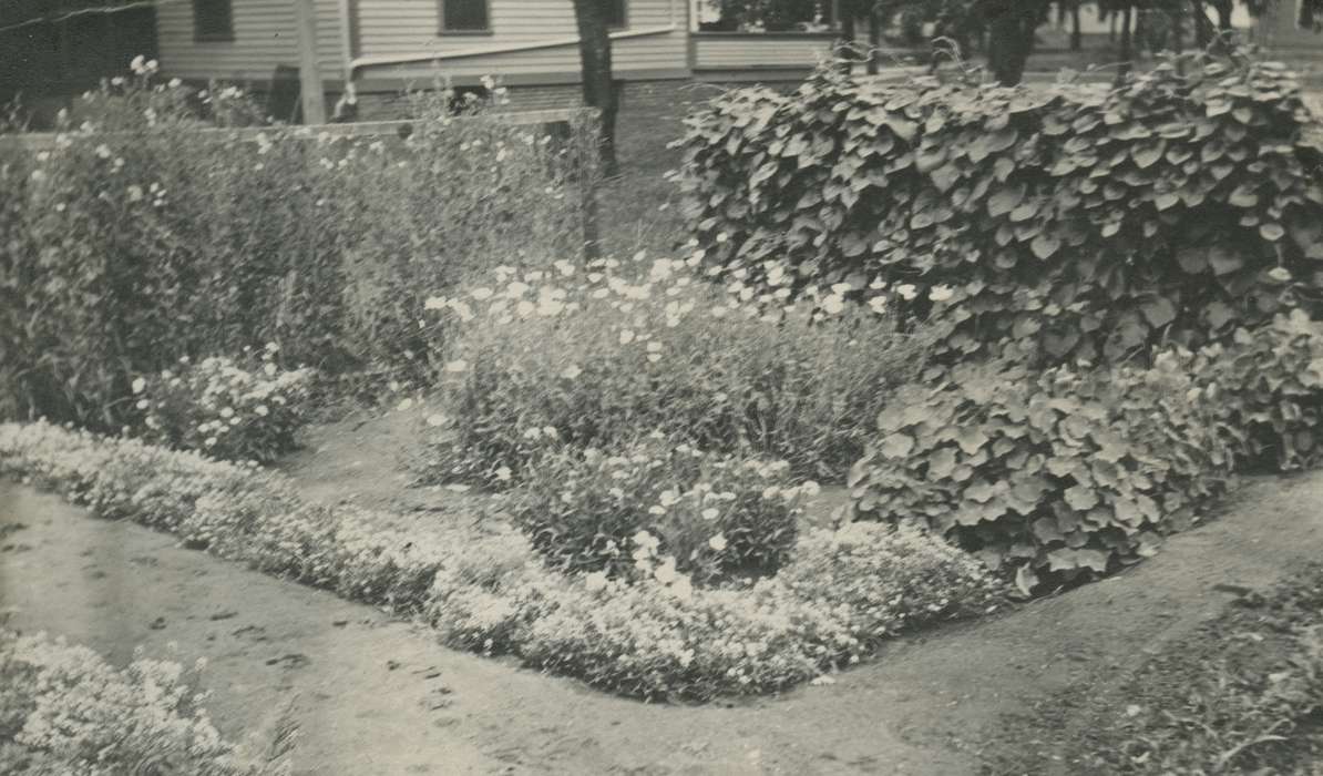 Landscapes, Webster City, IA, Iowa, garden, history of Iowa, McMurray, Doug, Iowa History