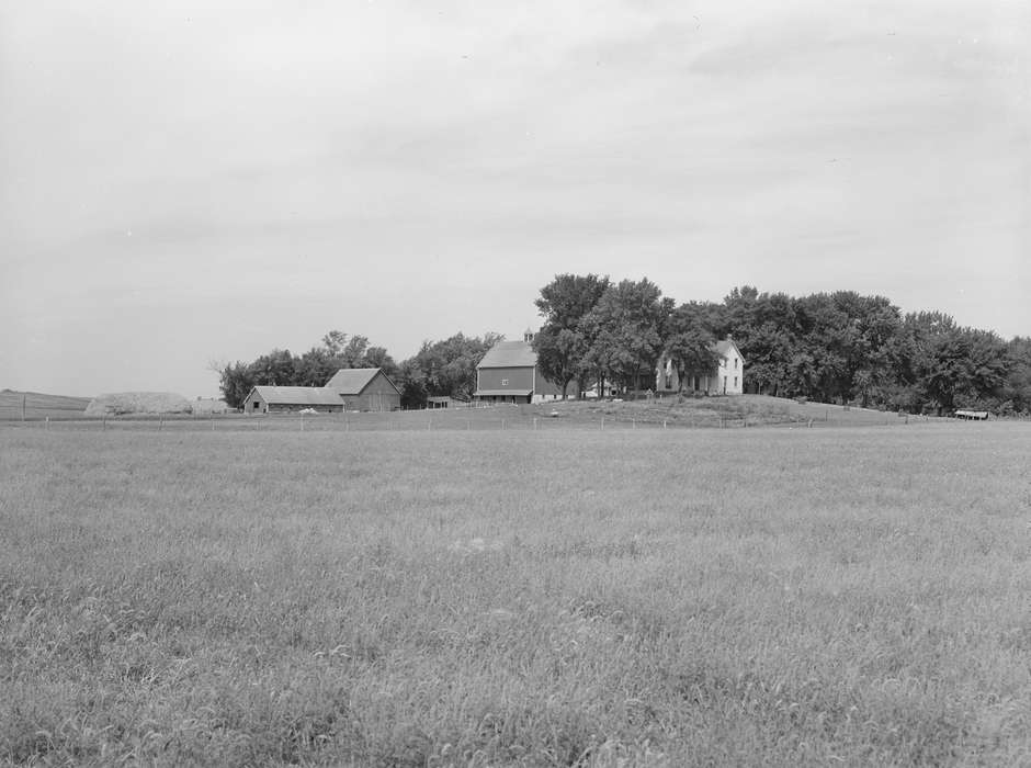 Homes, history of Iowa, Iowa History, Library of Congress, Barns, farm house, farm, pasture, Iowa, Landscapes, Farms, tree