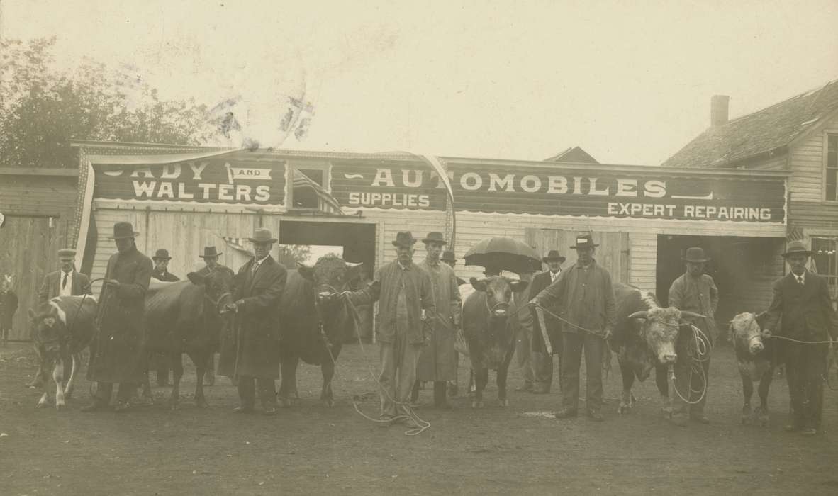 Portraits - Group, history of Iowa, Iowa History, Cook, Mavis, cattle, Animals, bull, Fairs and Festivals, Iowa, cow, Hubbard, IA