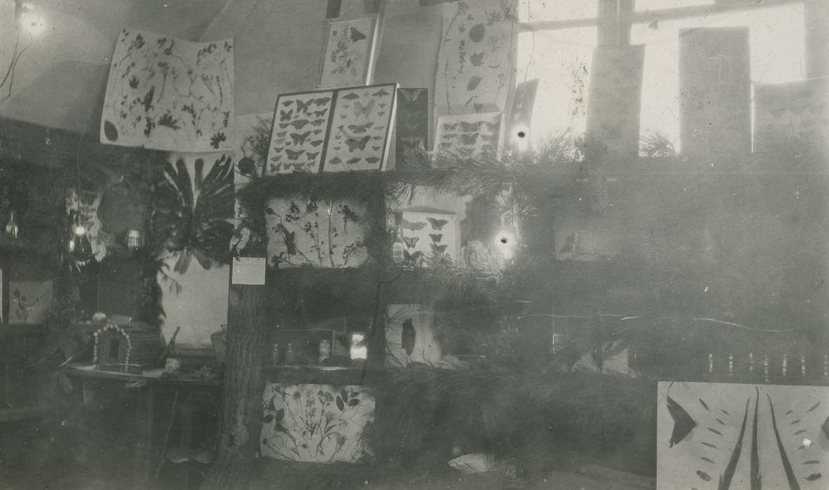 butterfly, boy scouts, history of Iowa, Iowa History, Webster City, IA, insect collections, butterfly collection, Iowa, Schools and Education, McMurray, Doug