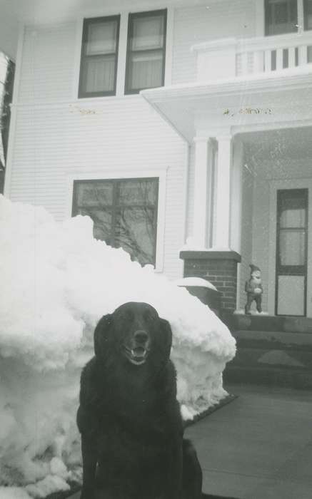 history of Iowa, Iowa History, IA, Animals, Tjaden, Carol, Iowa, gnome, Homes, dog