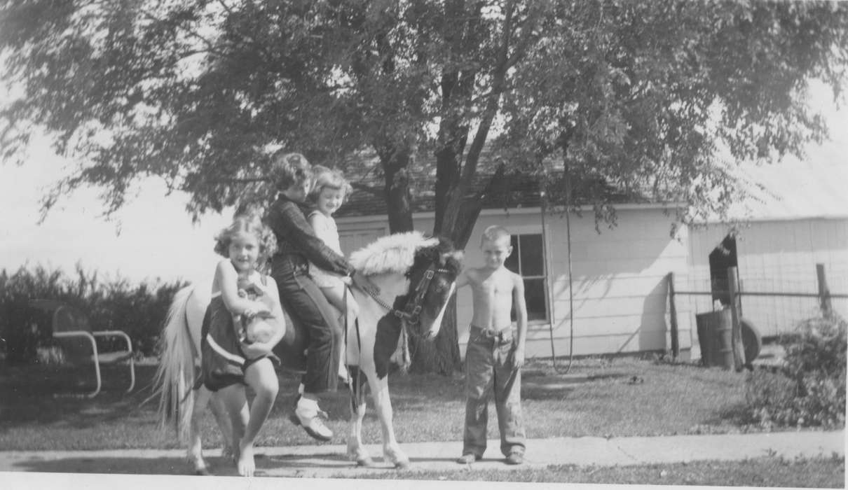 history of Iowa, pony, horse, Iowa History, tree swing, Iowa, Cascade, IA, Children, Cigrand, Mariann