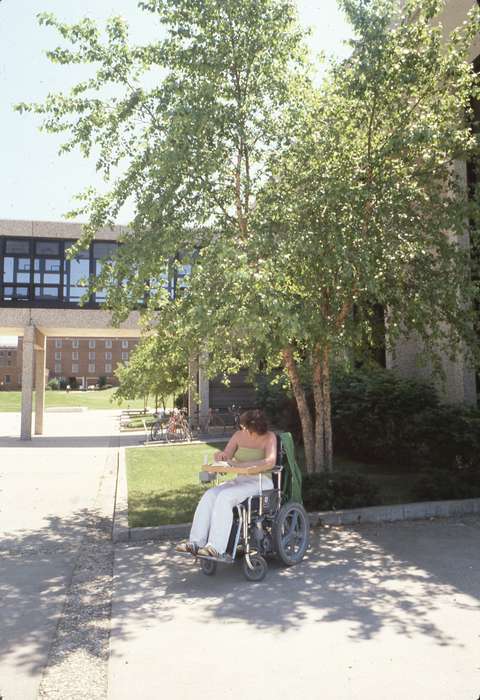 Cedar Falls, IA, history of Iowa, Iowa History, uni, UNI Special Collections & University Archives, student, Iowa, wheelchair, Schools and Education, tree, university of northern iowa