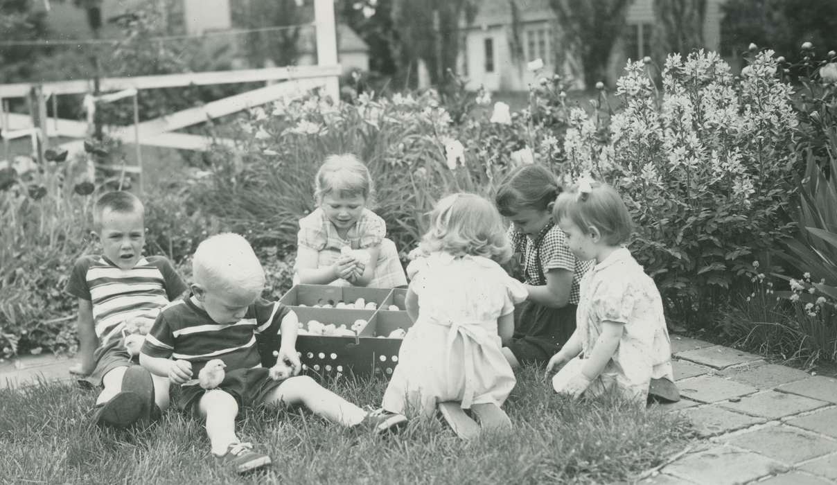 Portraits - Group, history of Iowa, hatchery, Iowa History, chick, Webster City, IA, Animals, Iowa, McMurray, Doug, Children, Leisure