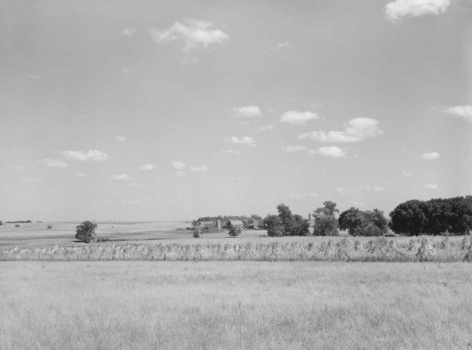 history of Iowa, Iowa History, Library of Congress, Barns, pasture, farmland, hills, Iowa, Landscapes, Farms, cornfield