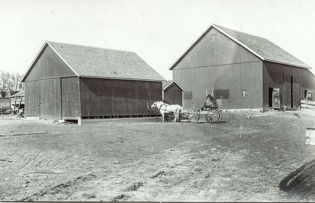 Iowa, Animals, horse, horse and buggy, Barns, Anamosa, IA, Farms, Anamosa Library & Learning Center, history of Iowa, Iowa History