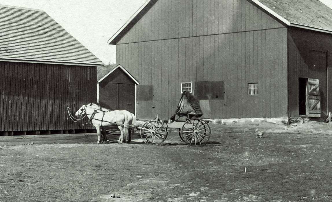Anamosa Library & Learning Center, Iowa History, Barns, horse and buggy, Farms, Iowa, history of Iowa, buggy, Animals, horse, Anamosa, IA