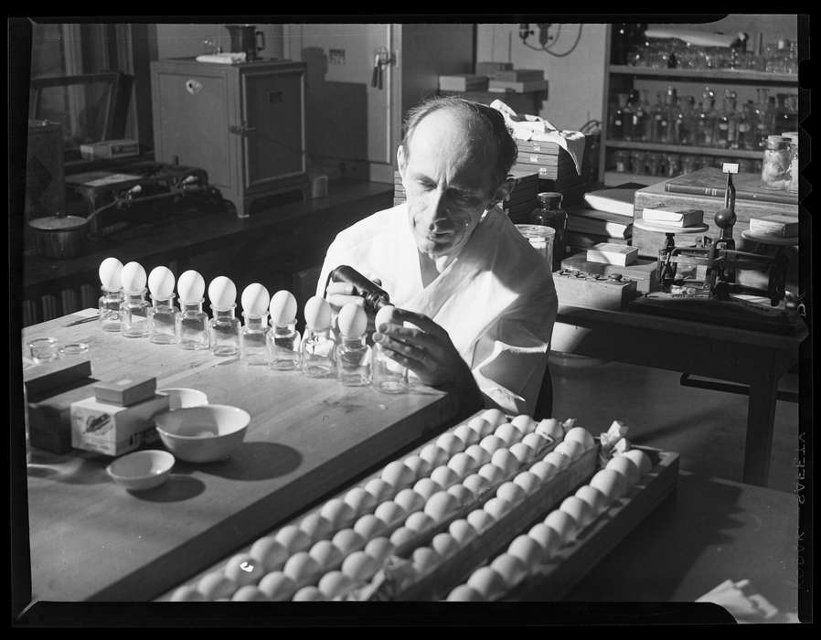 eggs, history of Iowa, Storrs, CT, kitchen, Iowa History, Archives & Special Collections, University of Connecticut Library, Iowa