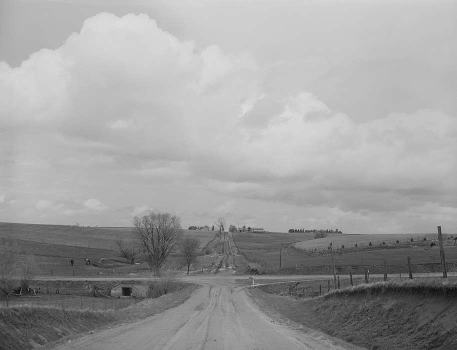 bridge, history of Iowa, Iowa History, Library of Congress, Barns, Animals, farmland, dirt road, Iowa, Landscapes, Homes, horses, Farms