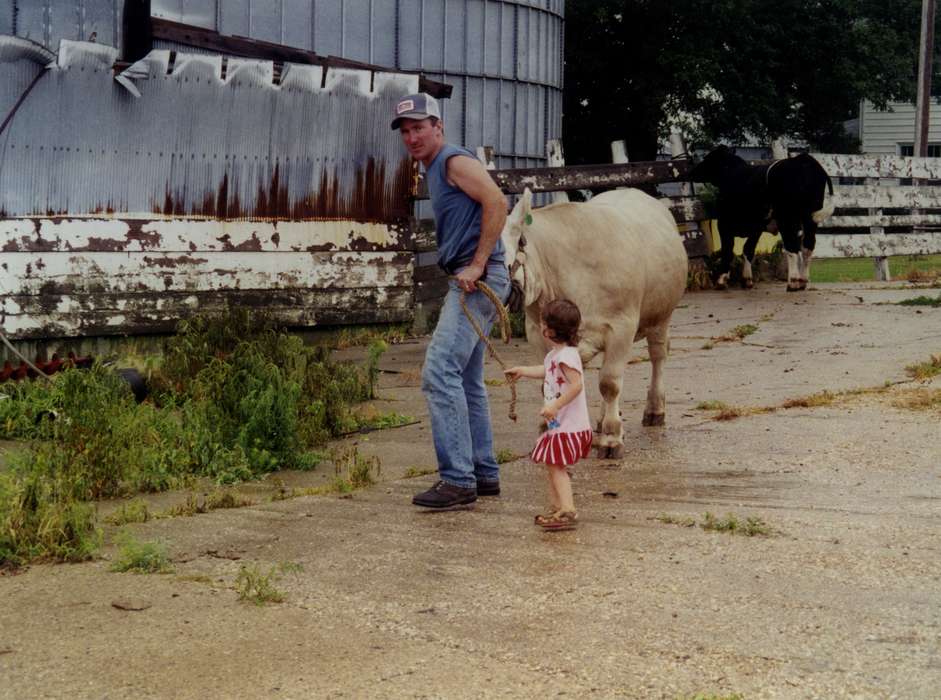 Iowa, Animals, steer, Children, Barns, Buckeye, IA, Vierkandt, Stephanie, Farms, history of Iowa, bull, Iowa History