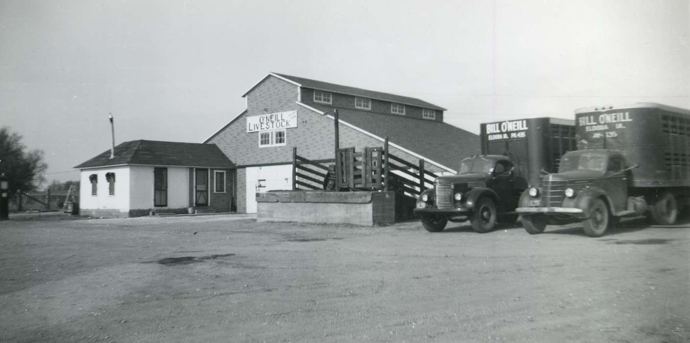 Businesses and Factories, livestock, Eldora, IA, Iowa History, Iowa, Motorized Vehicles, truck, Farming Equipment, Vierkandt, Jean, history of Iowa