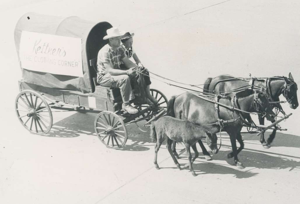 Cities and Towns, Fairs and Festivals, Iowa History, Waverly Public Library, donkey, Iowa, history of Iowa, Animals, parade, horse, Main Streets & Town Squares