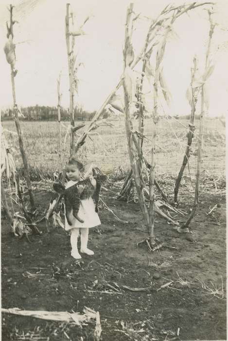 cat, history of Iowa, corn field, Iowa History, Lotts Creek, IA, Animals, Iowa, Thul, Cheryl, Children