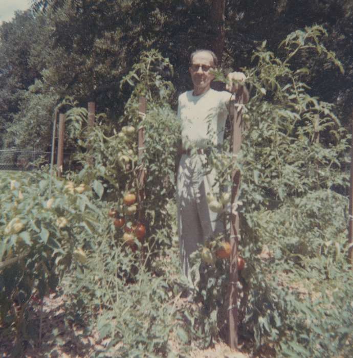 Iowa History, Iowa, history of Iowa, Portraits - Individual, Homes, tomato, Food and Meals, garden, USA, Spilman, Jessie Cudworth, old man