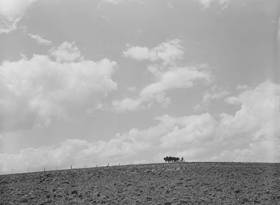 Farming Equipment, fence, history of Iowa, Iowa History, Library of Congress, Animals, field, horse drawn, scenic, Iowa, Landscapes, Farms, horses, Labor and Occupations