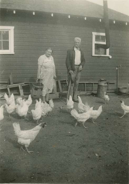 Marcus, IA, Iowa History, Iowa, Farms, history of Iowa, Animals, Schmillen, Gloria, Homes, chickens