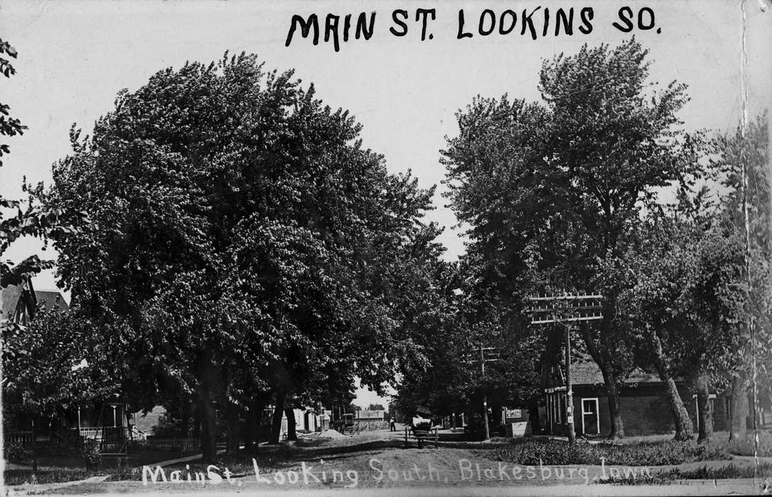 Blakesburg, IA, mainstreet, history of Iowa, Lemberger, LeAnn, Main Streets & Town Squares, Iowa, neighborhood, Iowa History, tree