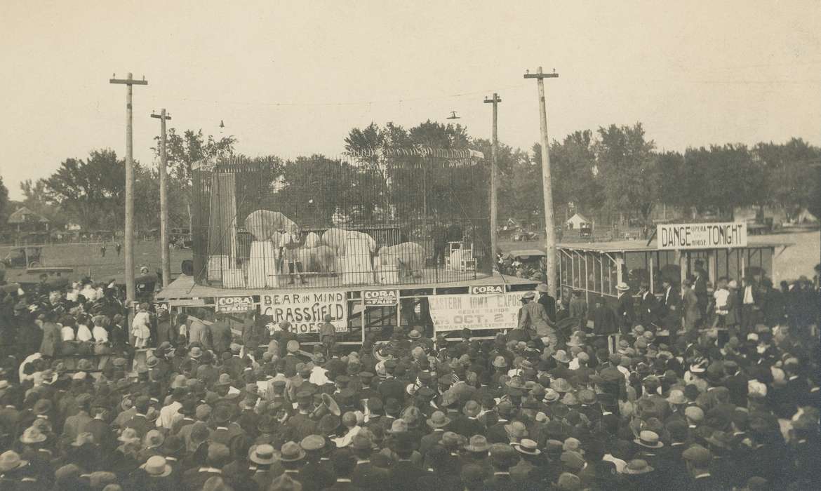telephone pole, Waverly Public Library, bear, advertisement, county fair, Entertainment, Iowa History, history of Iowa, Animals, fair, crowd, Waverly, IA, Iowa, sign, hat